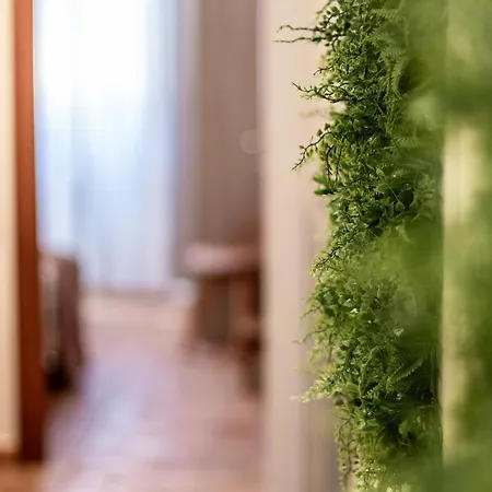 Wine Ansonica Casa de Férias Florença